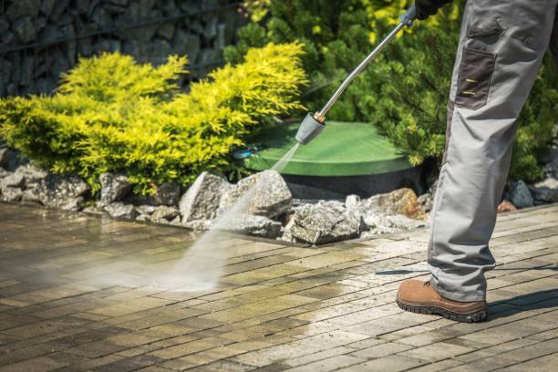 Best Driveway Pressure Washing  in Bayboro, NC