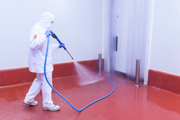 Bayboro, NC Pressure Washing Services Company