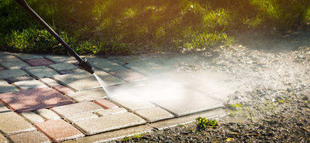 Best Fence Cleaning  in Bayboro, NC